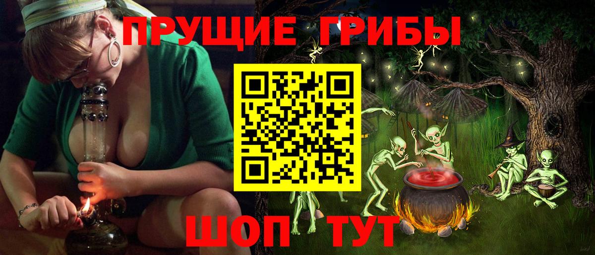 Галлюциногенные грибы Cubensis  Вход с VPN  Усть-Джегута 